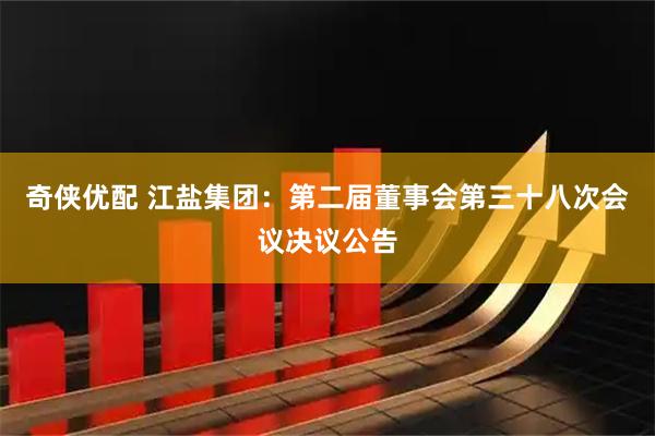 奇侠优配 江盐集团：第二届董事会第三十八次会议决议公告
